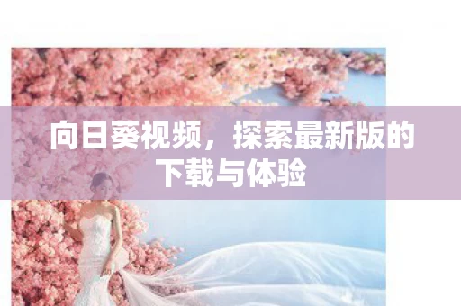 探索最新版的下载与体验图片