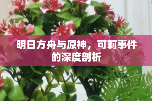 可莉事件的深度剖析图片