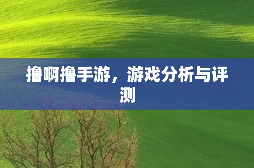 游戏分析与评测图片