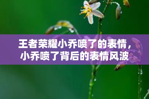 王者荣耀小乔喷了的表情图片