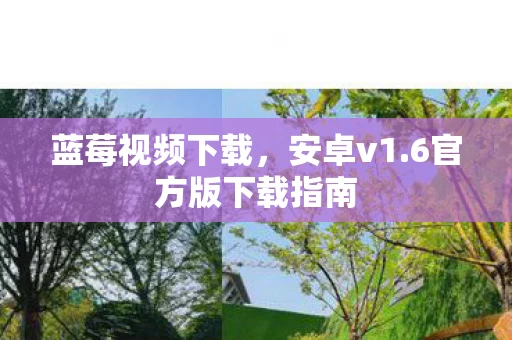 6官方版下载指南图片