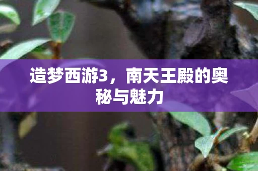 南天王殿的奥秘与魅力图片