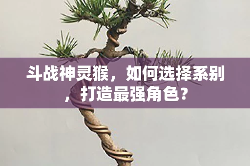 如何选择系别图片