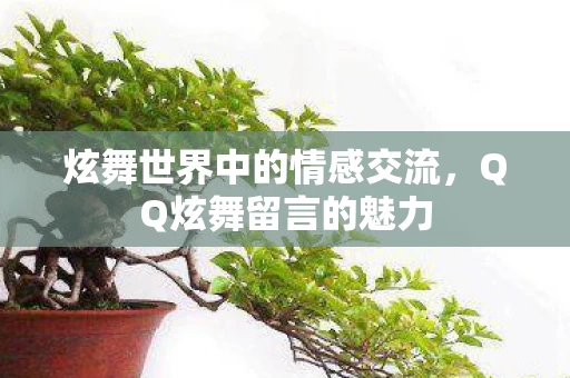 炫舞世界中的情感交流图片