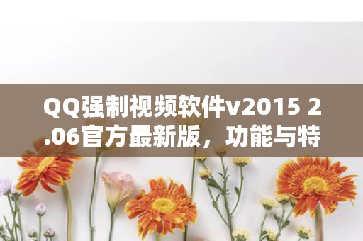 QQ强制视频软件v2015 2图片
