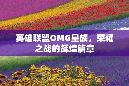 英雄联盟OMG皇族图片
