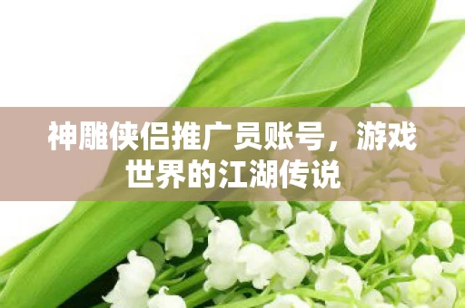 神雕侠侣推广员账号图片