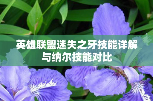 英雄联盟迷失之牙技能详解与纳尔技能对比图片