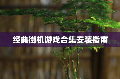经典街机游戏合集安装指南图片