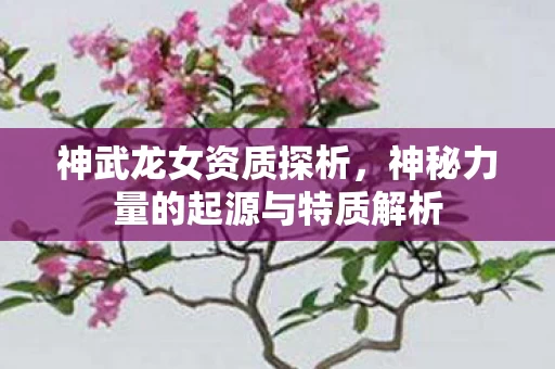 神秘力量的起源与特质解析图片