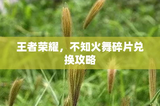 不知火舞碎片兑换攻略图片