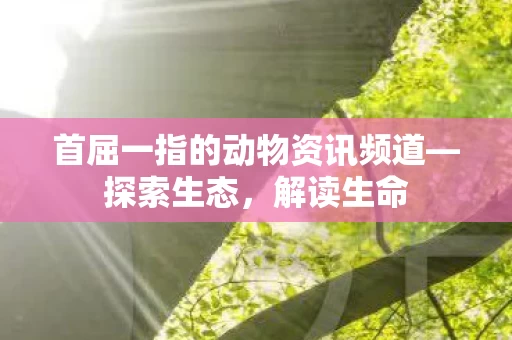 首屈一指的动物资讯频道图片