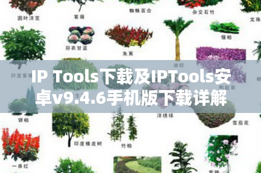 IP Tools下载及IPTools安卓v9图片
