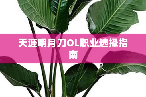 天涯明月刀OL职业选择指南图片