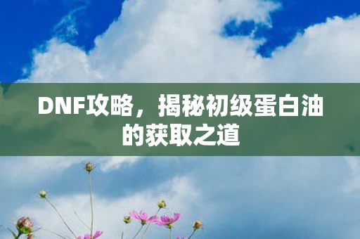 揭秘初级蛋白油的获取之道图片