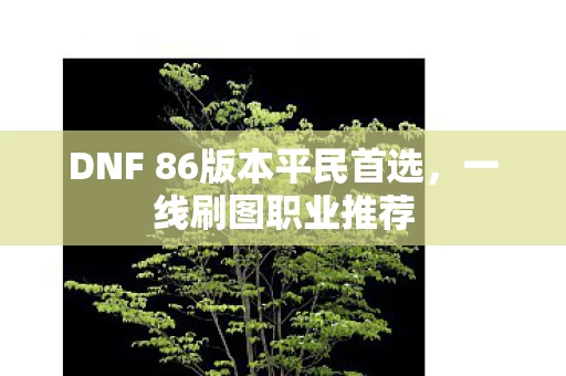 DNF 86版本平民首选图片