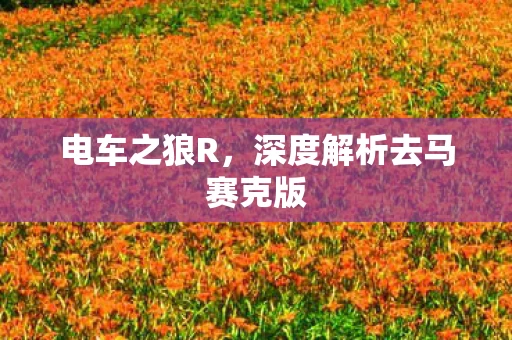 深度解析去马赛克版图片
