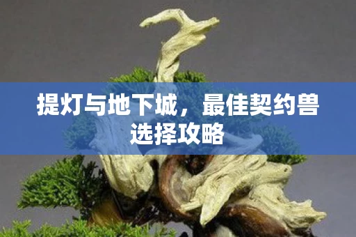 最佳契约兽选择攻略图片
