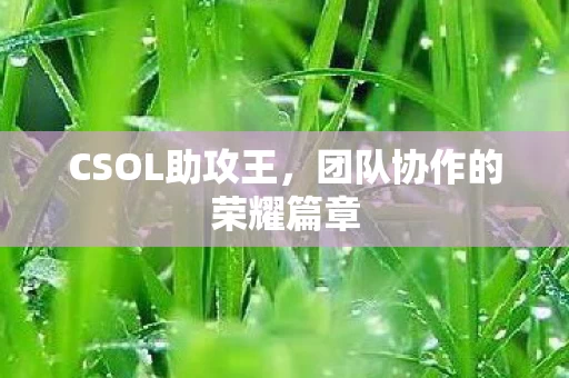 团队协作的荣耀篇章图片