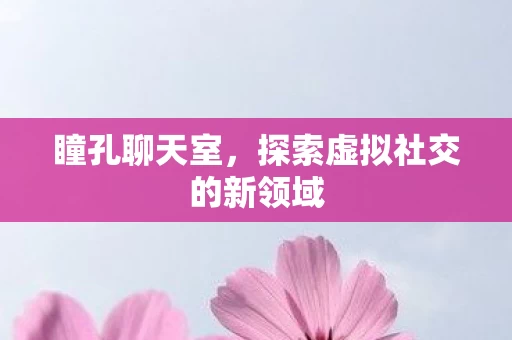 探索虚拟社交的新领域图片