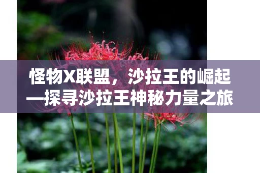 探寻沙拉王神秘力量之旅图片