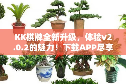 下载APP尽享棋牌乐趣图片