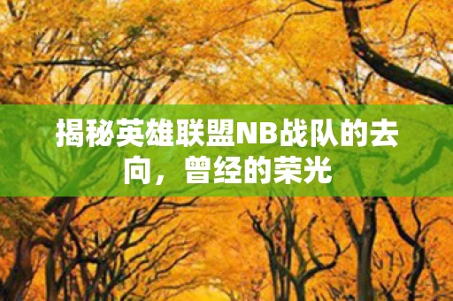 揭秘英雄联盟NB战队的去向图片
