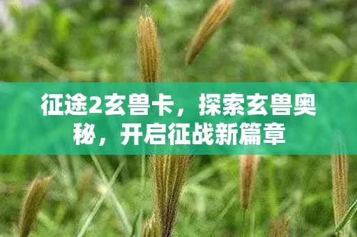 开启征战新篇章图片