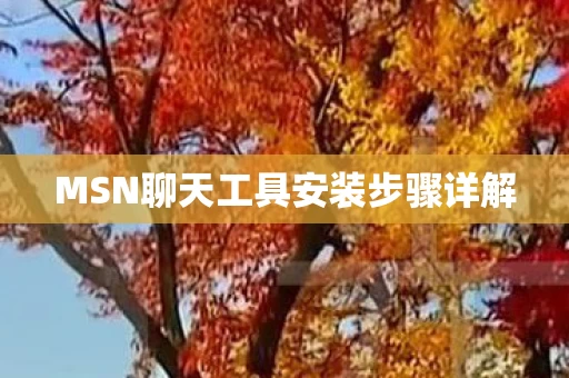 MSN聊天工具安装步骤详解图片