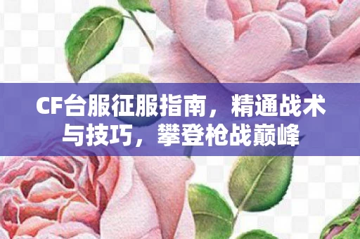 CF台服征服指南图片