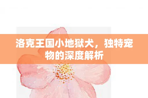 独特宠物的深度解析图片