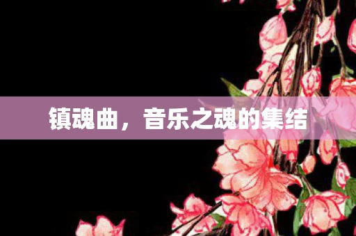 音乐之魂的集结图片