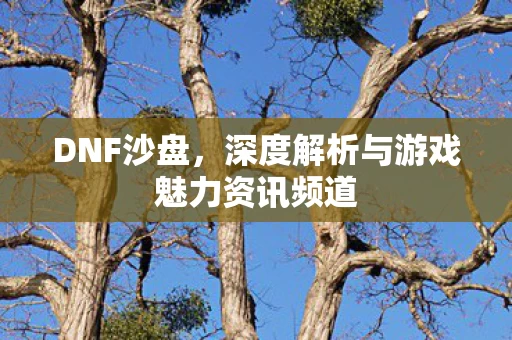 深度解析与游戏魅力资讯频道图片