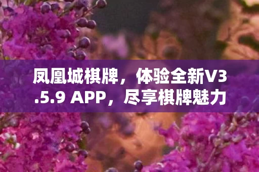 体验全新V3图片