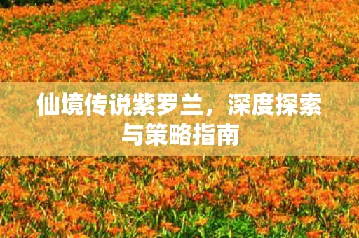 深度探索与策略指南图片