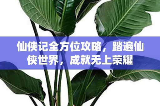 仙侠记全方位攻略图片
