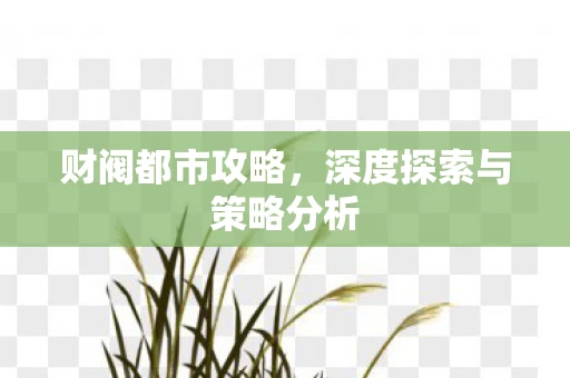 深度探索与策略分析图片