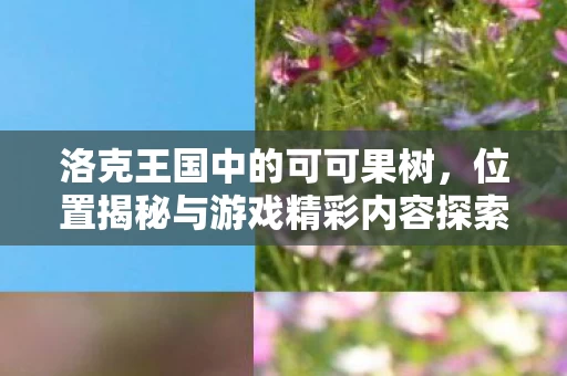 位置揭秘与游戏精彩内容探索图片