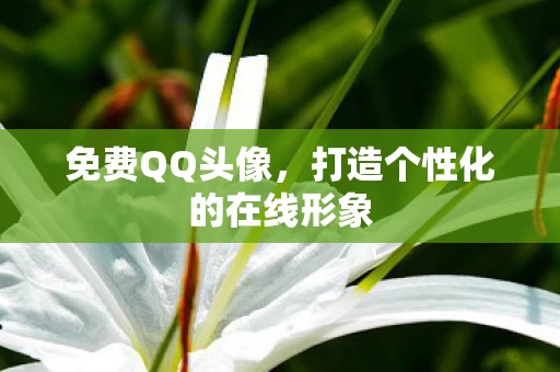 打造个性化的在线形象图片