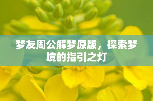 探索梦境的指引之灯图片