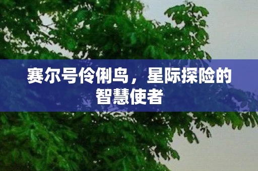 星际探险的智慧使者图片