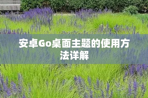 安卓Go桌面主题的使用方法详解图片