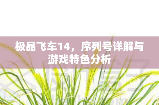 序列号详解与游戏特色分析图片