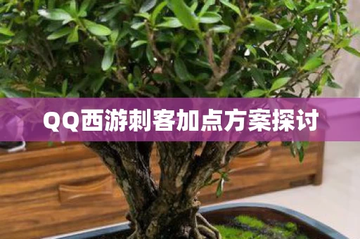 QQ西游刺客加点方案探讨图片