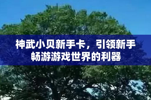 引领新手畅游游戏世界的利器图片