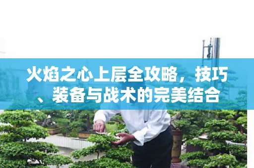 装备与战术的完美结合图片
