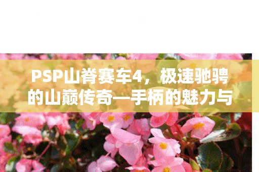 手柄的魅力与竞速激情图片