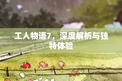 深度解析与独特体验图片