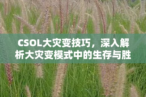 深入解析大灾变模式中的生存与胜利之道图片
