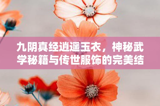 神秘武学秘籍与传世服饰的完美结合图片